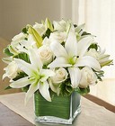 Modern Embrace <br> White Rose and Lily Cube Davis Floral Clayton Indiana from Davis Floral